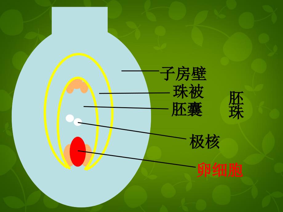 八年级生物下册 第七单元 第一章 第1节 植物的生殖课件 新人教版_第3页
