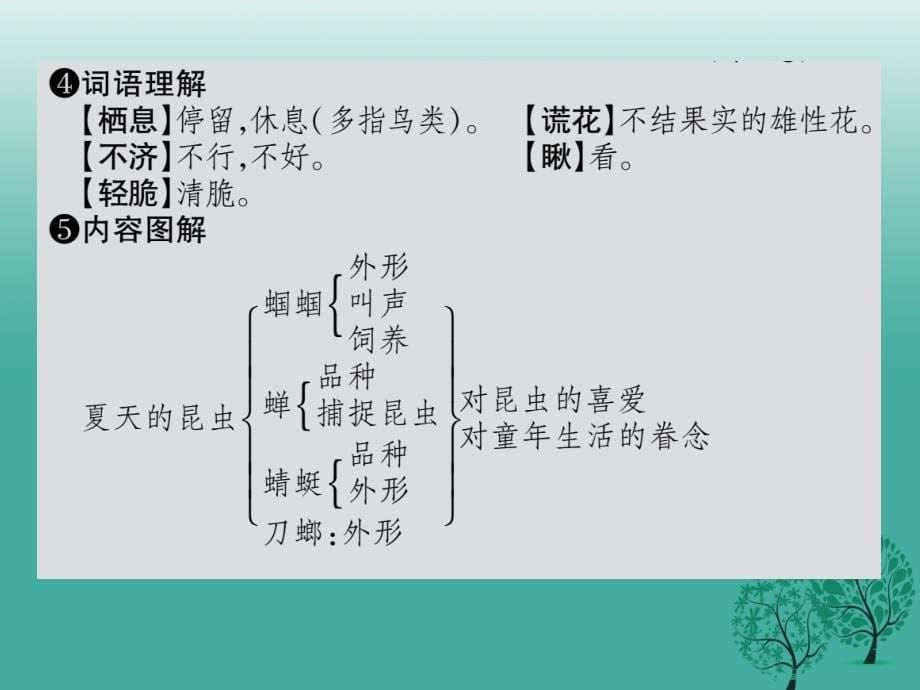 2018年秋季版2018年七年级语文下册第4单元18夏天的昆虫课件苏教版_第5页