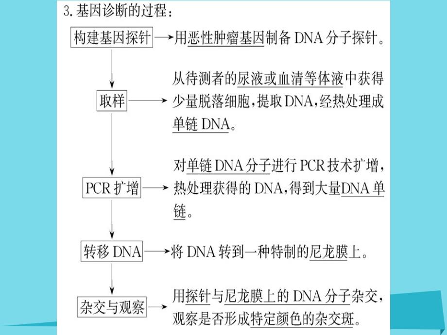 2018年秋高中生物 第1章 第2节 基因诊断与基因治疗课件 新人教版选修2_第4页