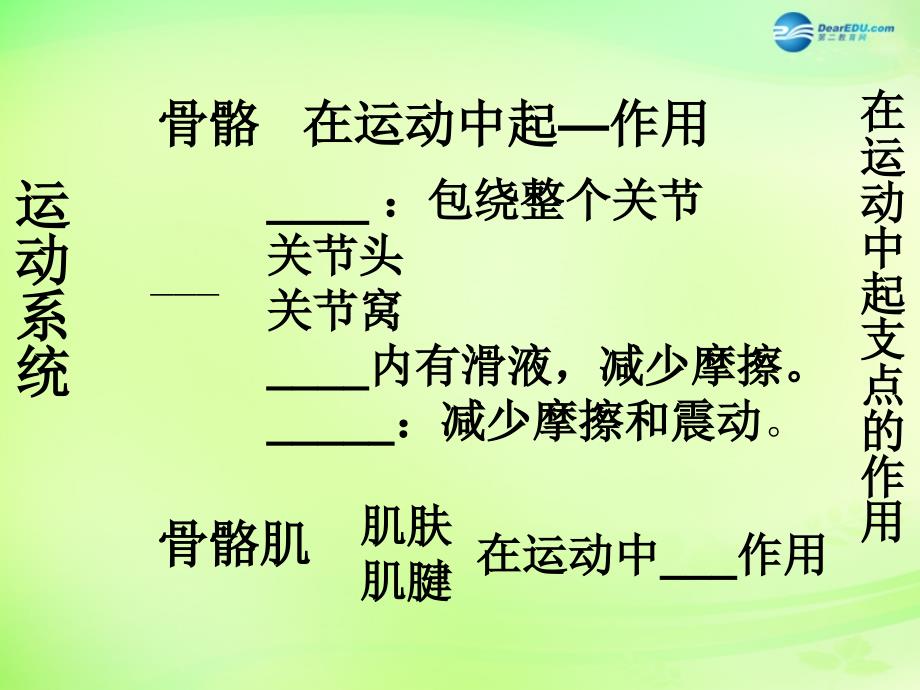 河南省濮阳市第六中学八年级生物上册《5.2 动物的运动和行为》课件 新人教版_第4页