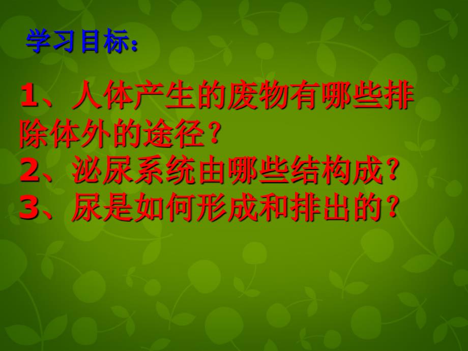 陕西省神木县大保当初级中学七年级生物下册 4.5.1 尿的形成和排出课件 新人教版_第2页