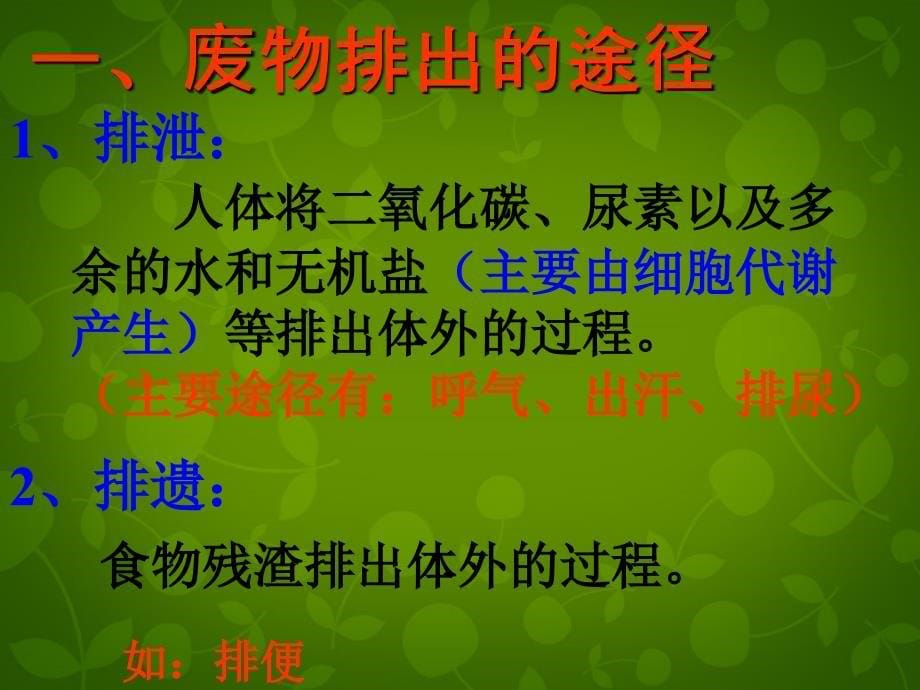 陕西省神木县大保当初级中学七年级生物下册 4.5.1 尿的形成和排出课件 新人教版_第5页