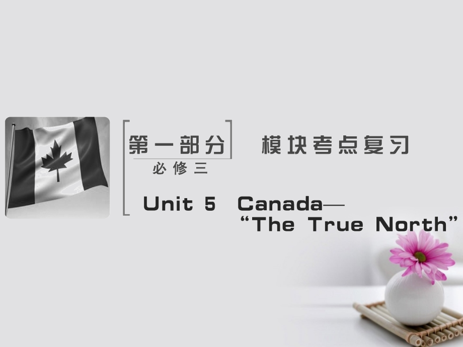 2018届高考英语大一轮复习unit5canada-“thetruenorth”课件新人教版必修_第2页