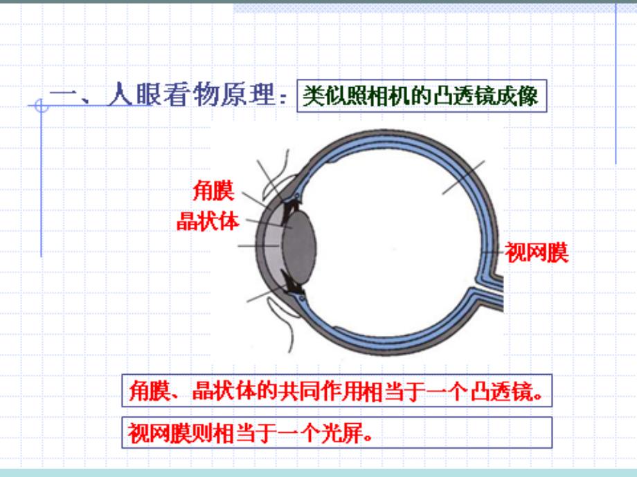 【沪科版】物理八年级：4.6《神奇的眼睛》ppt【沪科版】物理八年级：4.6《神奇的眼睛》ppt课件_第4页