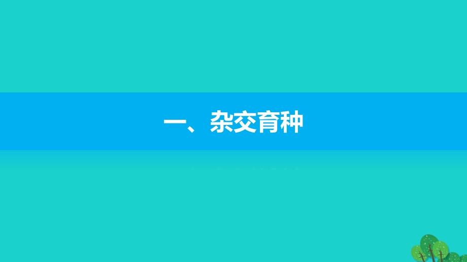 2018-2019学年高中生物 第四章 第二节 生物变异在生产上的应用课件 浙科版必修2_第4页