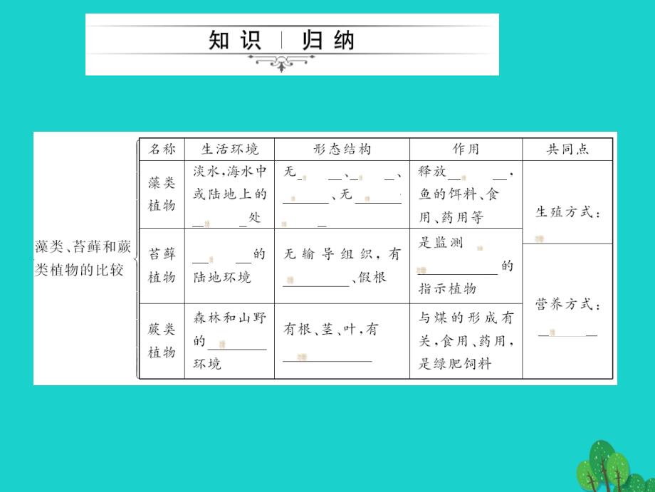 2018中考生物第一轮系统复习篇 第三单元 第一章 生物圈中有哪些绿色植物课件_第2页