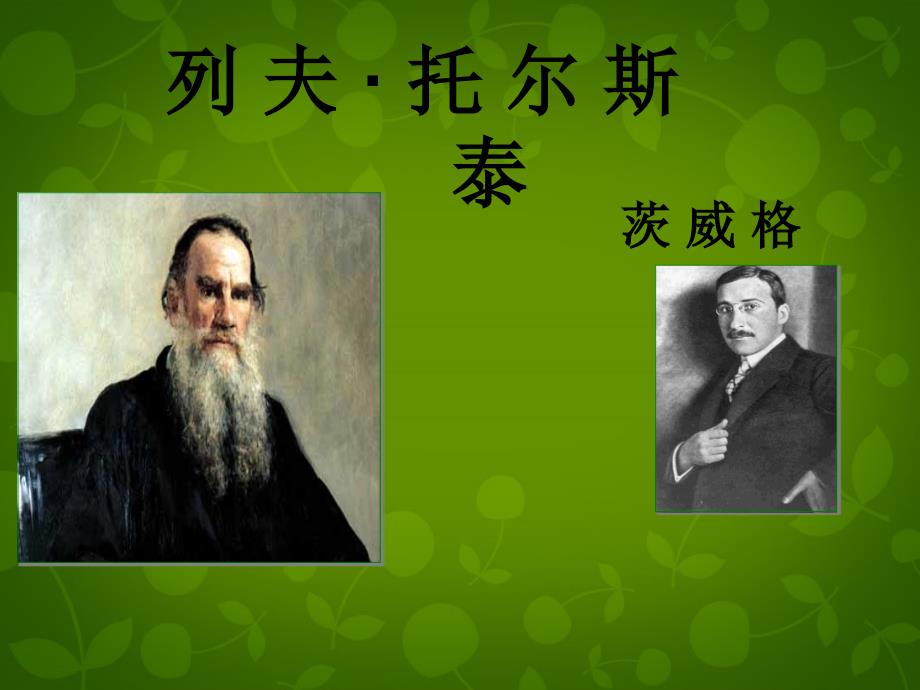 安徽省泗县中学八年级语文下册 第一单元 4 列夫 托尔斯泰课件 新人教版_第2页