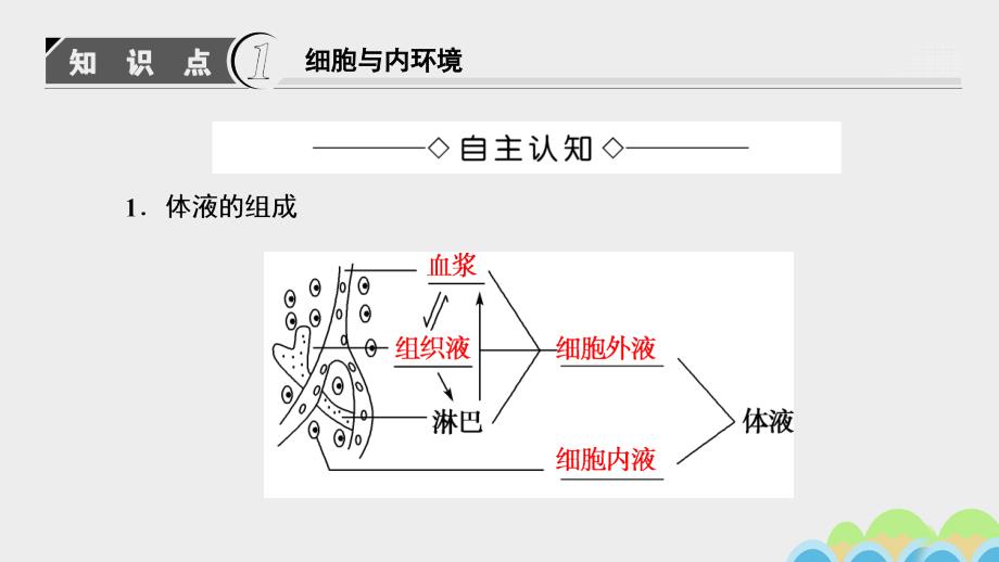 2018-2019学年高中生物第1单元生物个体的稳态与调节第2章动物稳态维持及其意义第1节内环境与稳态课件中图版_第3页