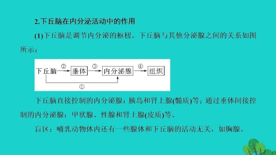 2018-2019学年高中生物 第2章 生物个体的稳态 第1节 人体内环境的稳态（第4课时）内环境图表分析及下丘脑在内分泌活动中的作用微专题突破课件 苏教版必修3_第5页