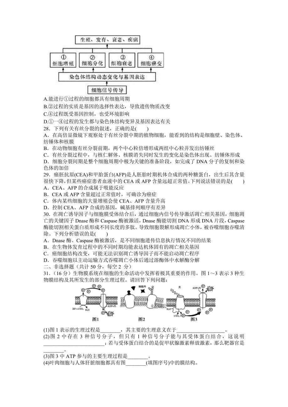 河北省大名县一中2019届高三上学期期末强化训练（一）生物试卷_第5页