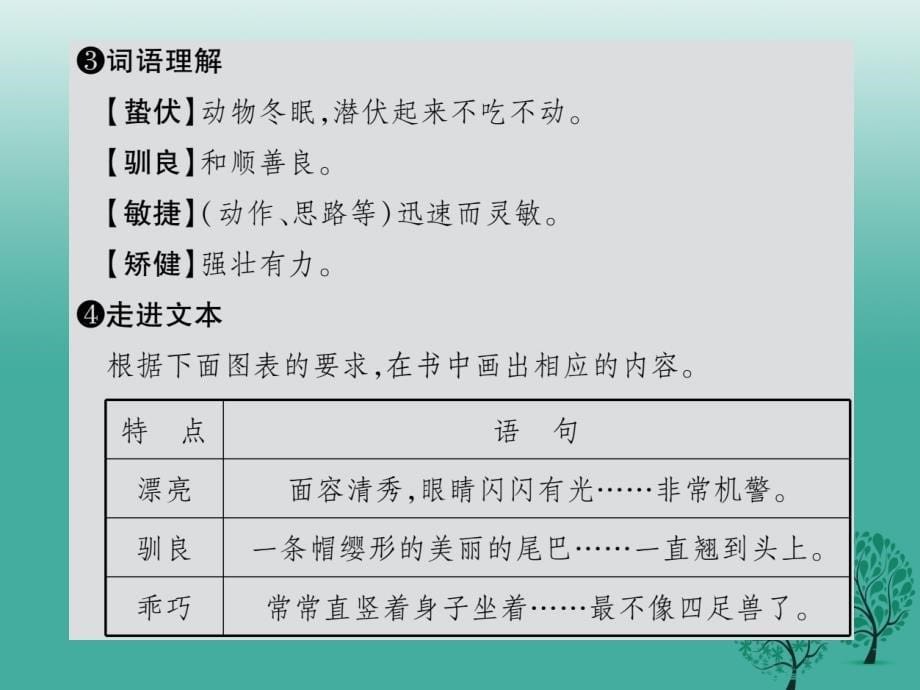 2018年秋季版2018年七年级语文下册第4单元15松鼠课件苏教版_第5页