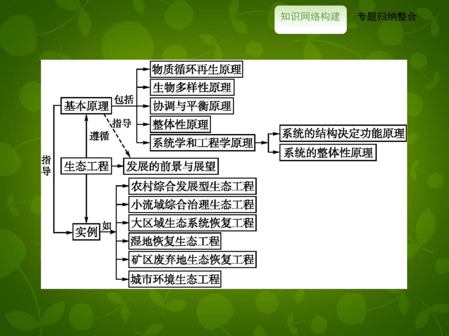 2018高中生物 专题整合提升课件5 新人教版选修3_第2页