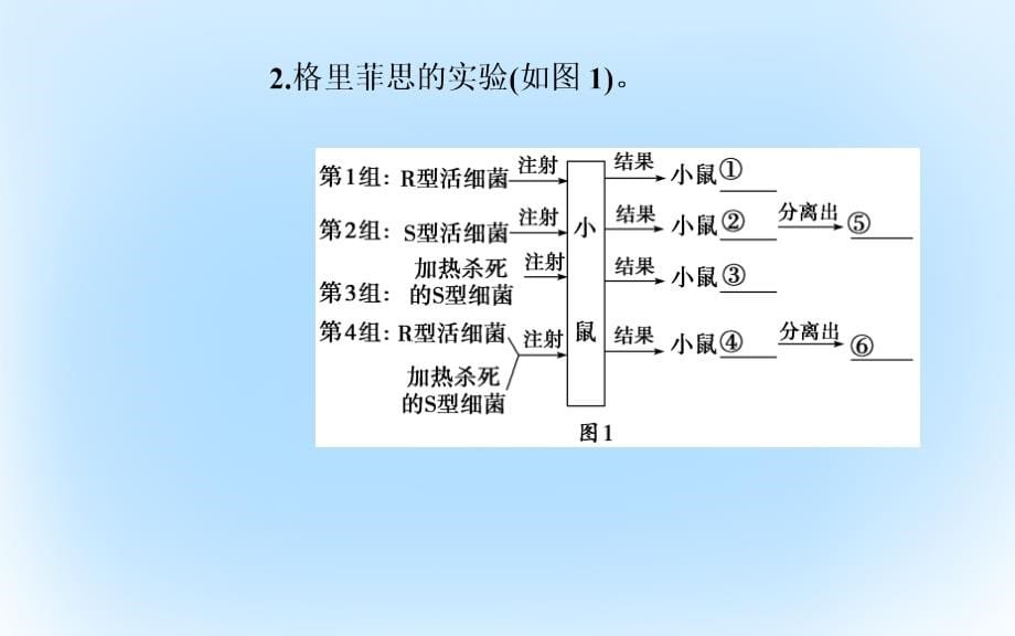 2018-2019学年高中生物第3章基因的本质第1节dna是主要的遗传物质课件新人教版(1)_第5页