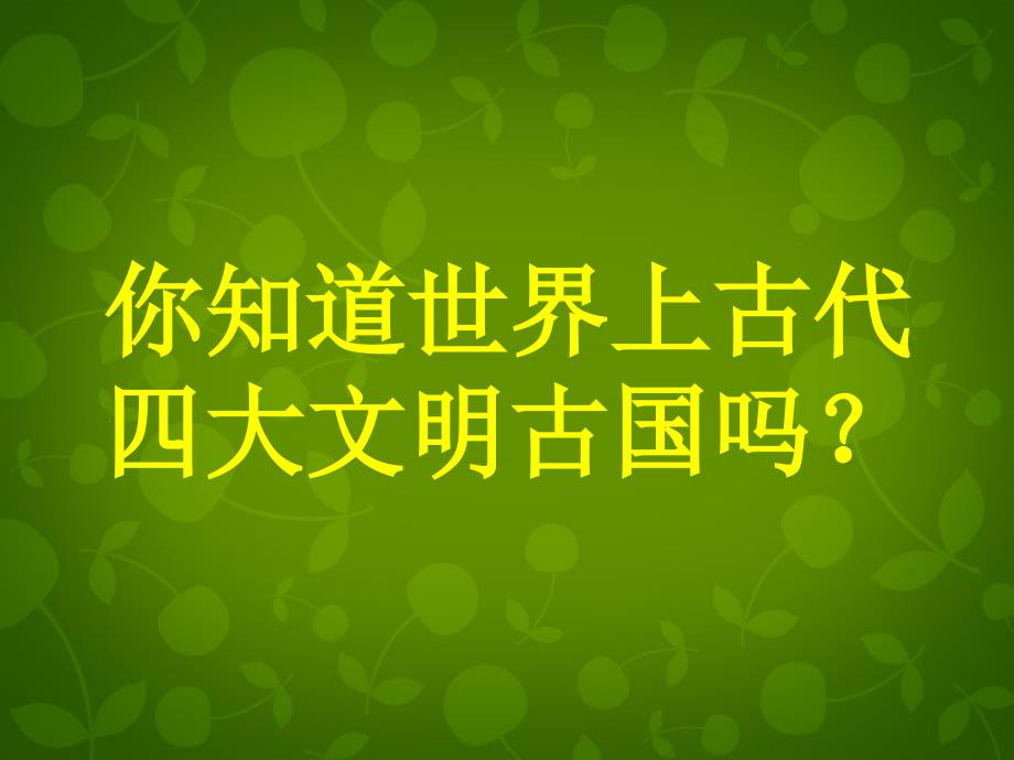 河南省鹤壁市鹤山区实验中学九年级历史上册 2 大河流域─人类文明的摇篮课件 新人教版_第2页