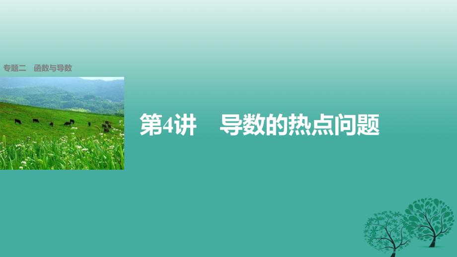 新（全国甲卷）2018版高考数学大二轮总复习与增分策略 专题二 函数与导数 第4讲 导数的热点问题课件(理)_第1页