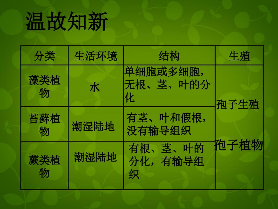 北京市和平北路学校七年级生物上册 3.1.2 种子植物课件 新人教版_第1页