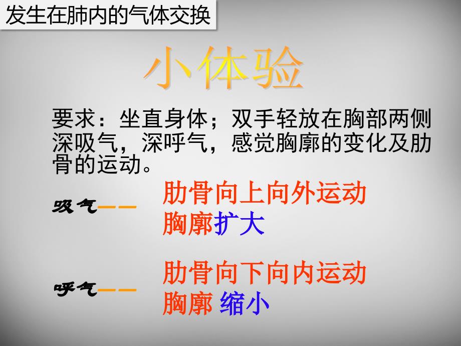 七年级生物下册 4.3.2 发生在肺内的气体交换课件1 新人教版_第4页