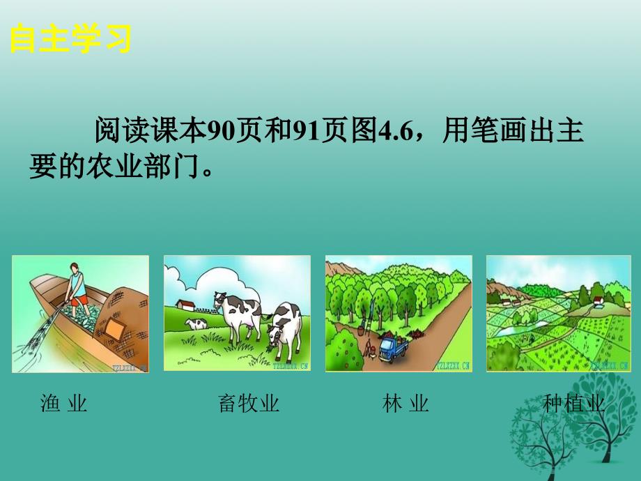 河北省涿州市实验中学八年级地理上册 4.2 农业课件 新人教版_第3页