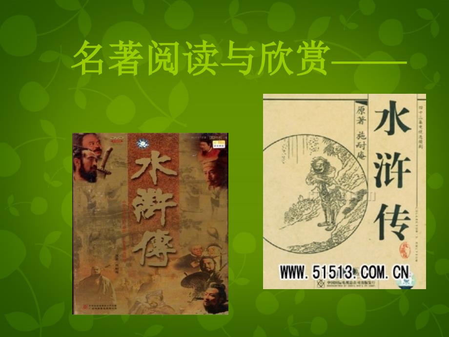 福建省大田县第四中学八年级语文下册 名著阅读 水浒传课件新人教版_第2页