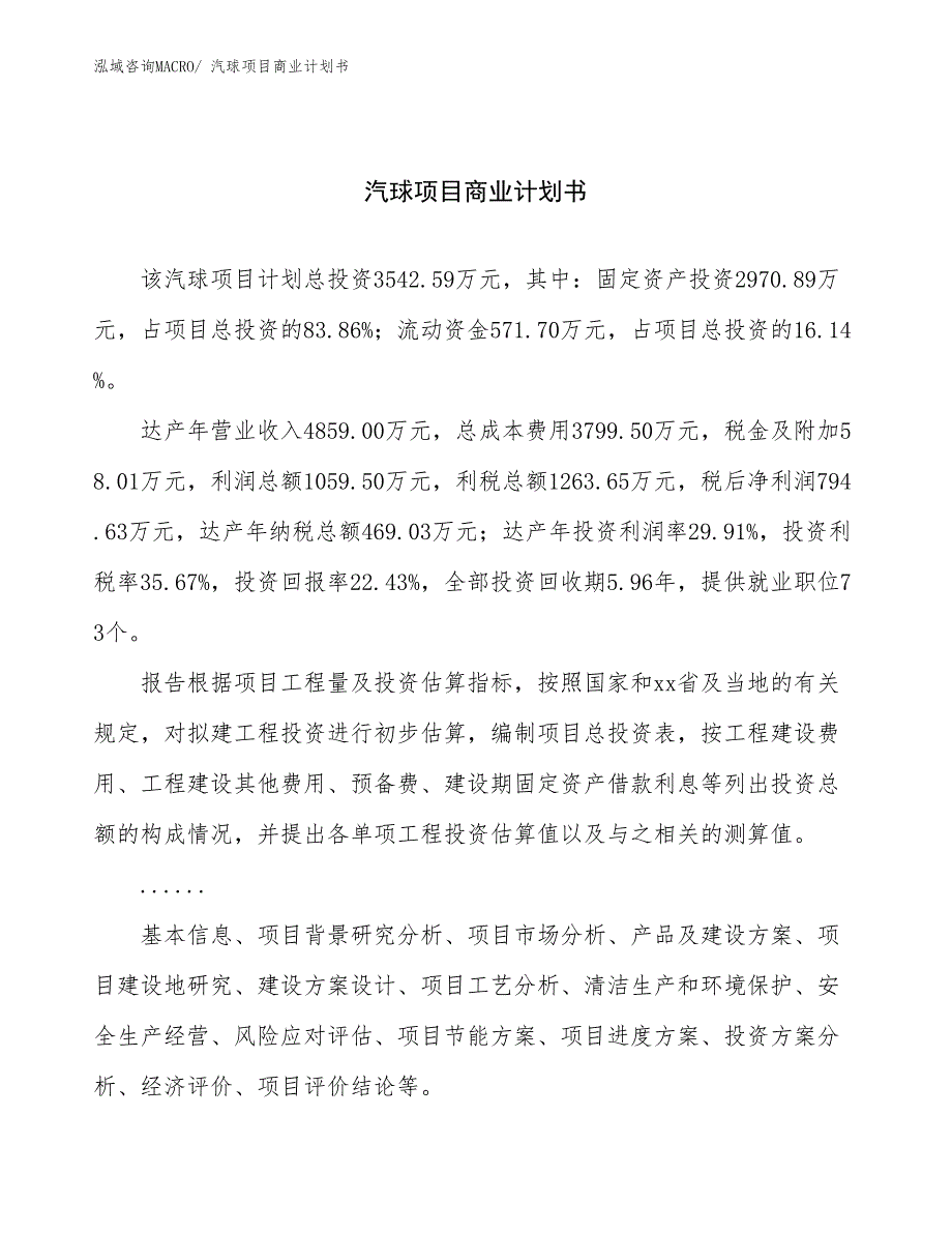 （融资）汽球项目商业计划书_第1页