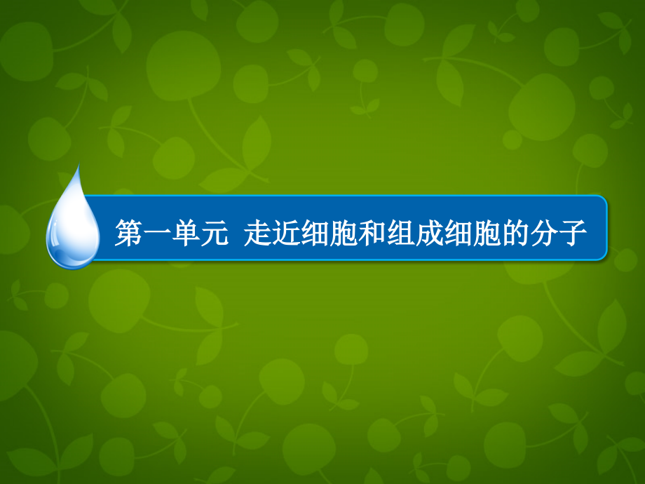 2018届高考生物一轮总复习 考能专项突破课件1_第2页