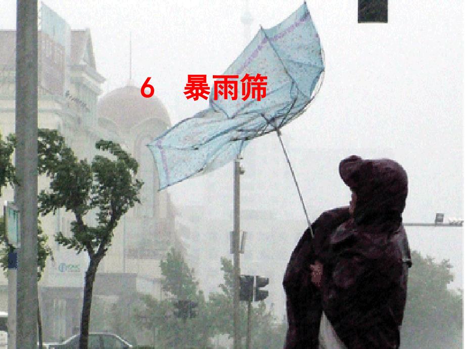 2018春六年级语文下册《暴雨筛》课件2 北京版_第2页