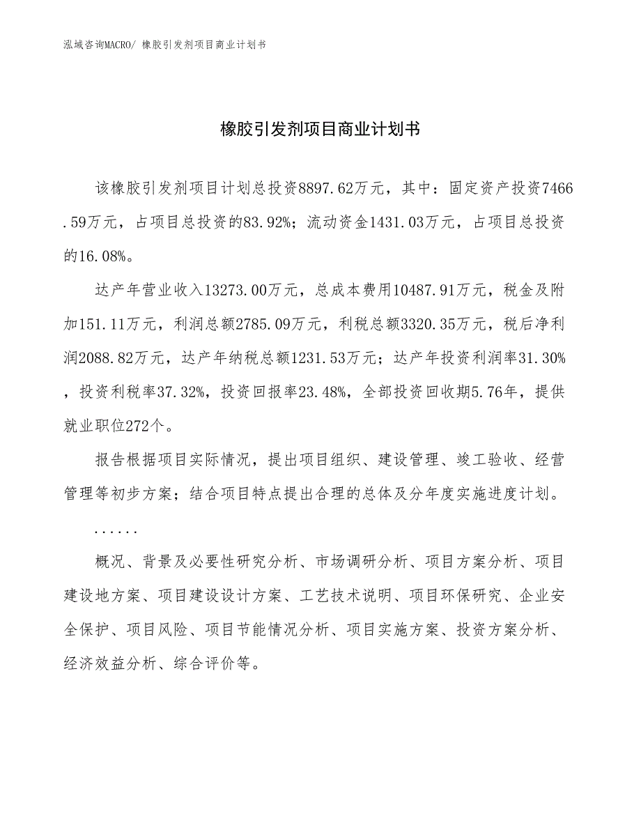 （创业）橡胶引发剂项目商业计划书_第1页