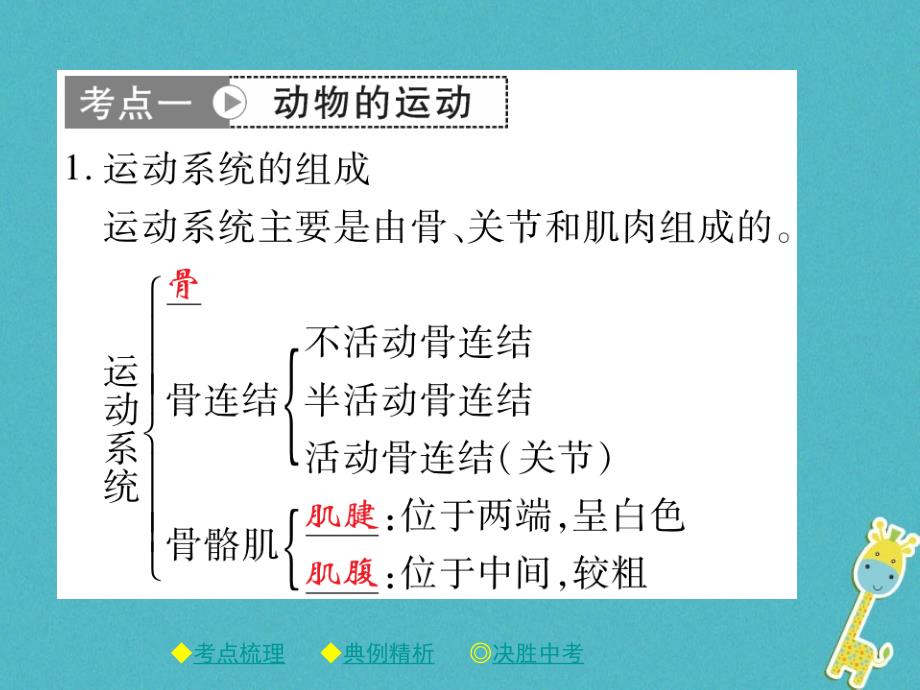 2018中考生物总复习专题突破五动物的运动和行为第2讲课件_第2页