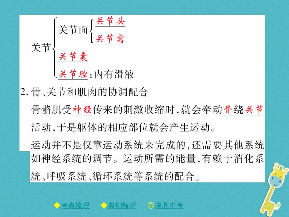 2018中考生物总复习专题突破五动物的运动和行为第2讲课件_第3页