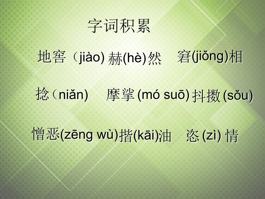 江苏省丹阳市云阳学校七年级语文下册《2 一面》课件 （新版）苏教版_第4页