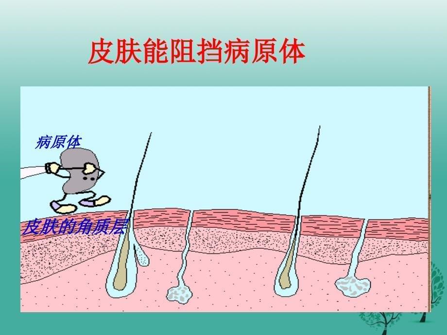 2018春七年级生物下册 第四单元 第13章 第3节 人体免疫教学课件 （新版）北师大版_第5页