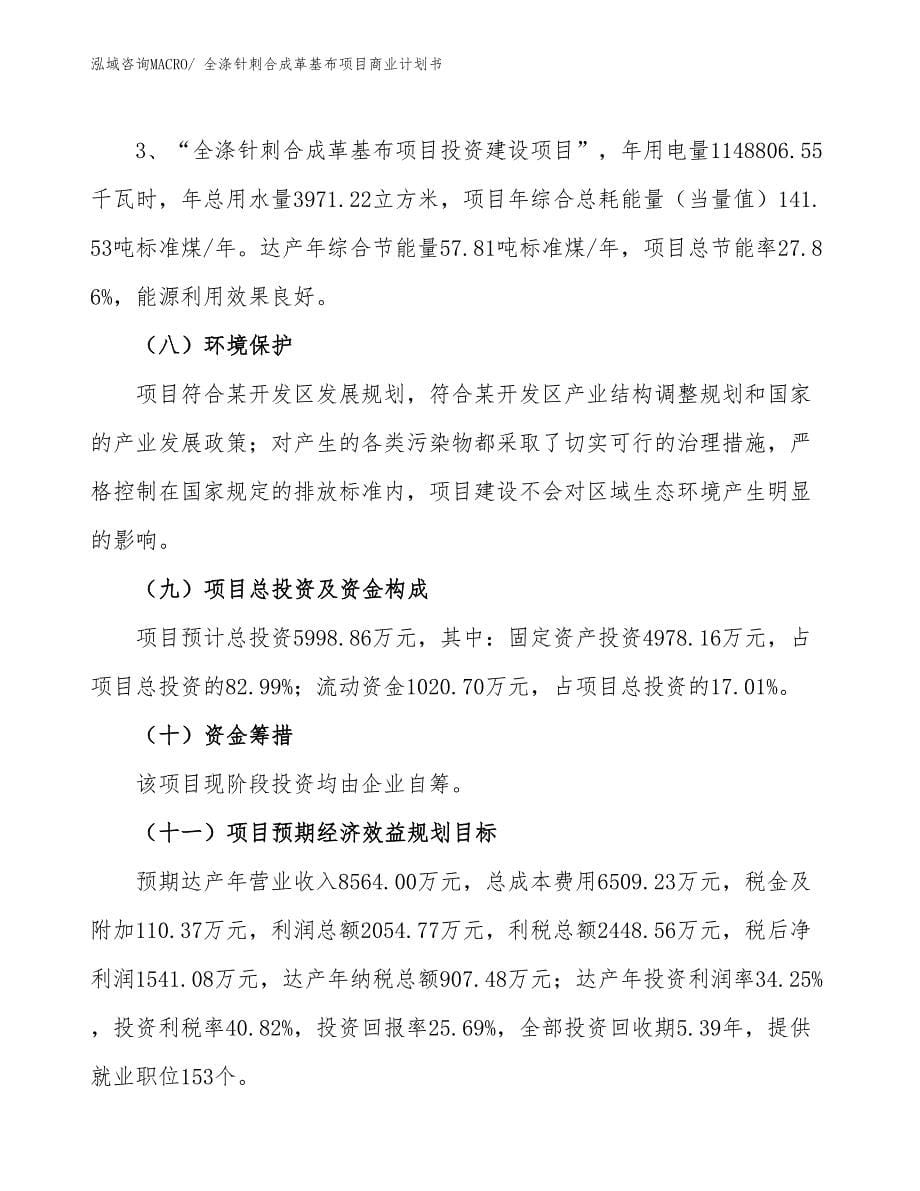 （项目说明）全涤针刺合成革基布项目商业计划书_第5页