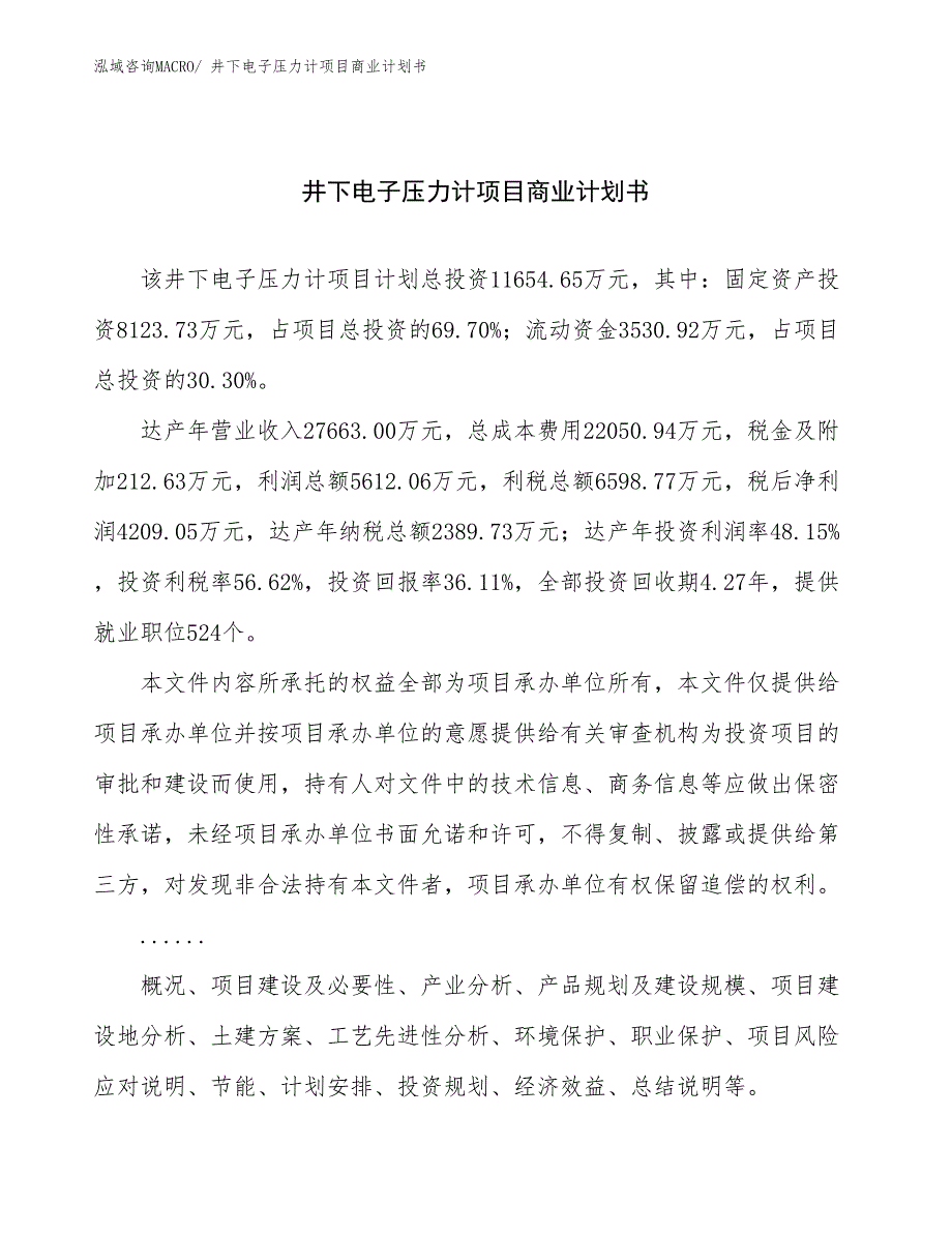 （项目计划）井下电子压力计项目商业计划书_第1页