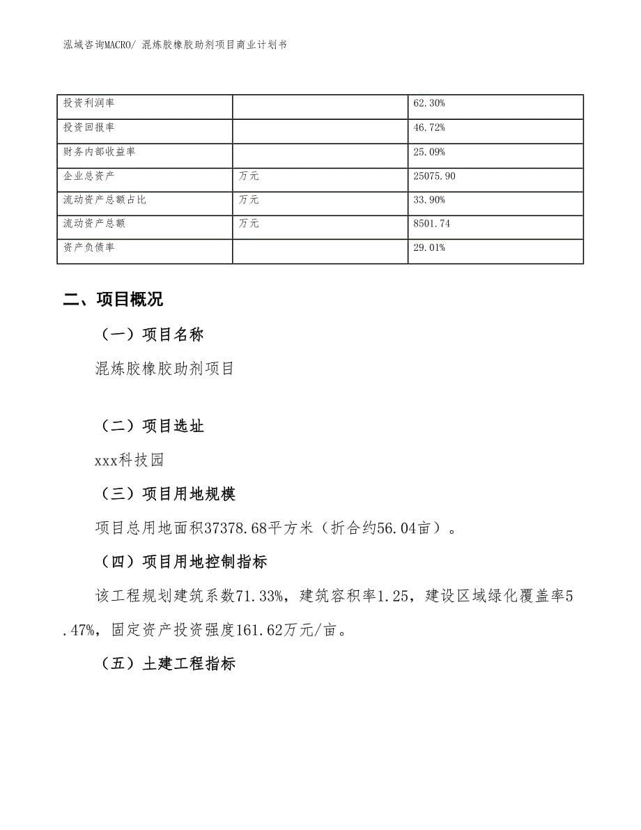 （创业）混炼胶橡胶助剂项目商业计划书_第5页