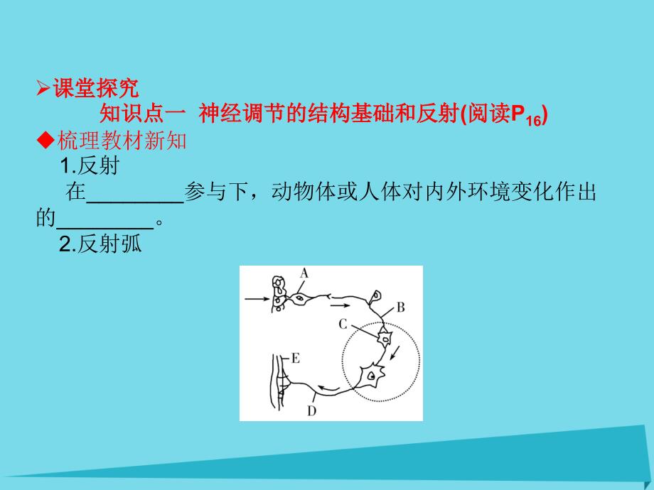 2018-2019学年高中生物 2.1 通过神经系统的调节（第1课时）课件 新人教版必修3_第4页