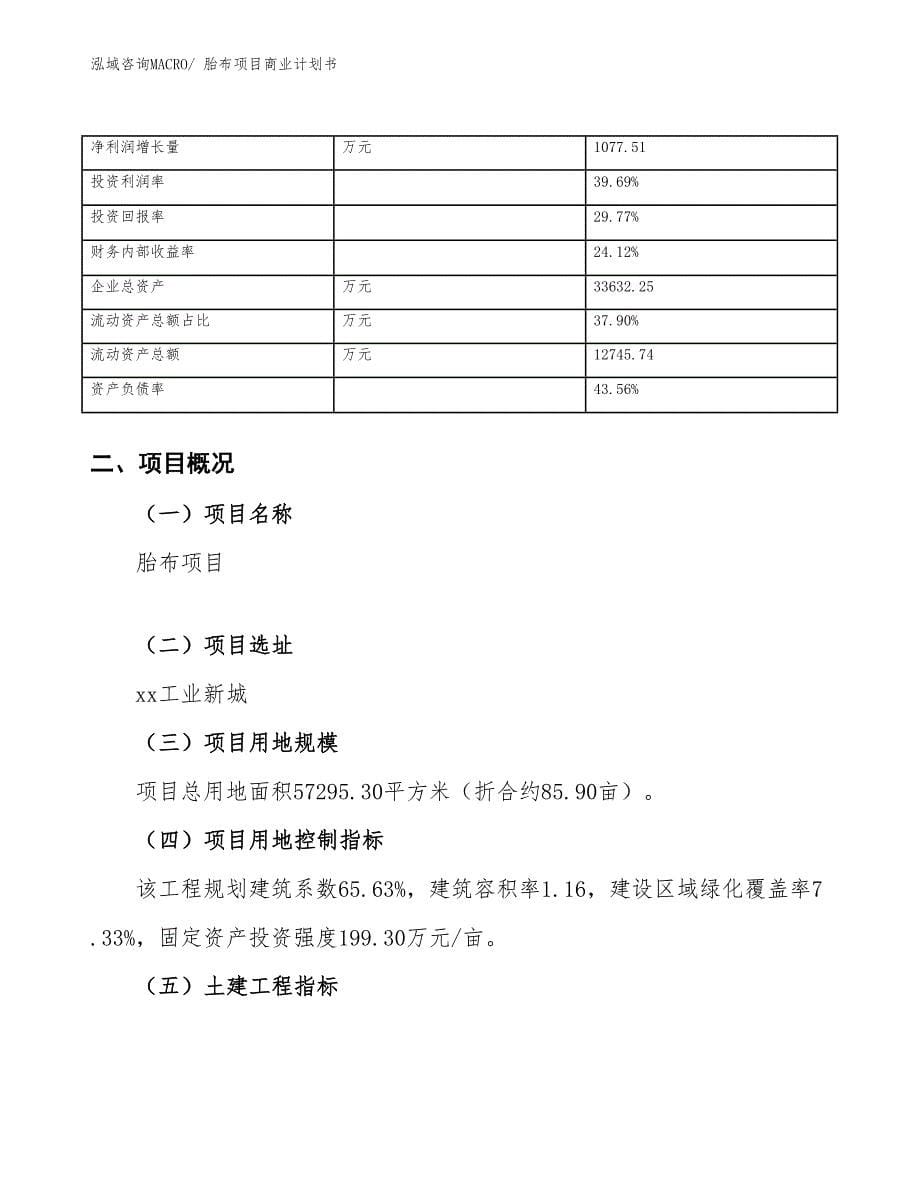 （融资）胎布项目商业计划书_第5页