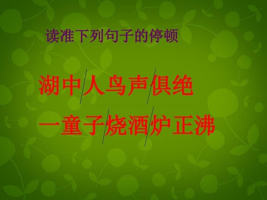 广西平南县上渡镇大成初级中学八年级语文上册 第六单元 29 湖心亭看雪课件 新人教版_第5页