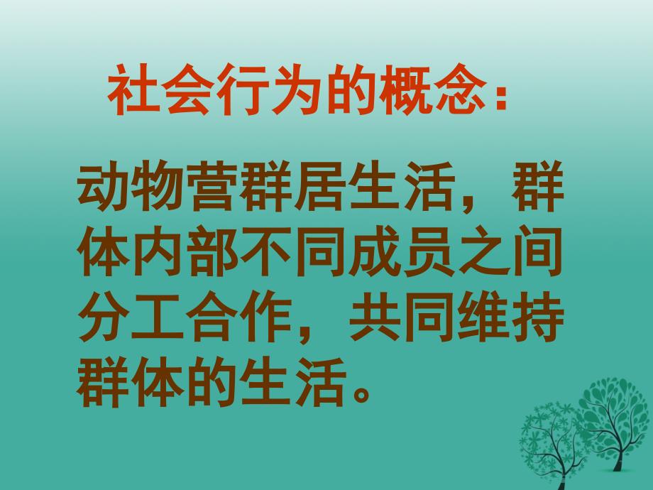 河北省唐山市青坨营镇初级中学八年级生物上册 5.2.3 社会行为课件 新人教版_第4页