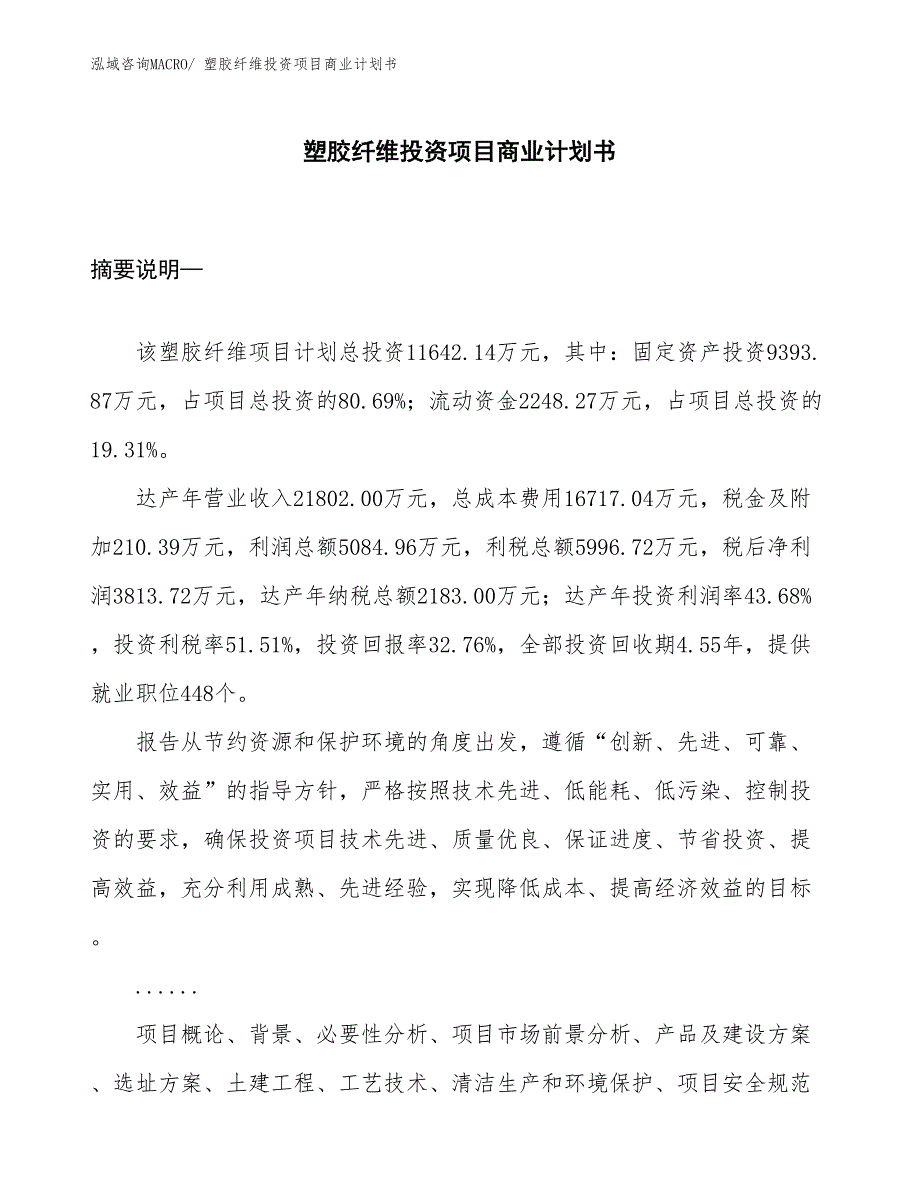 （模板）塑胶纤维投资项目商业计划书_第1页