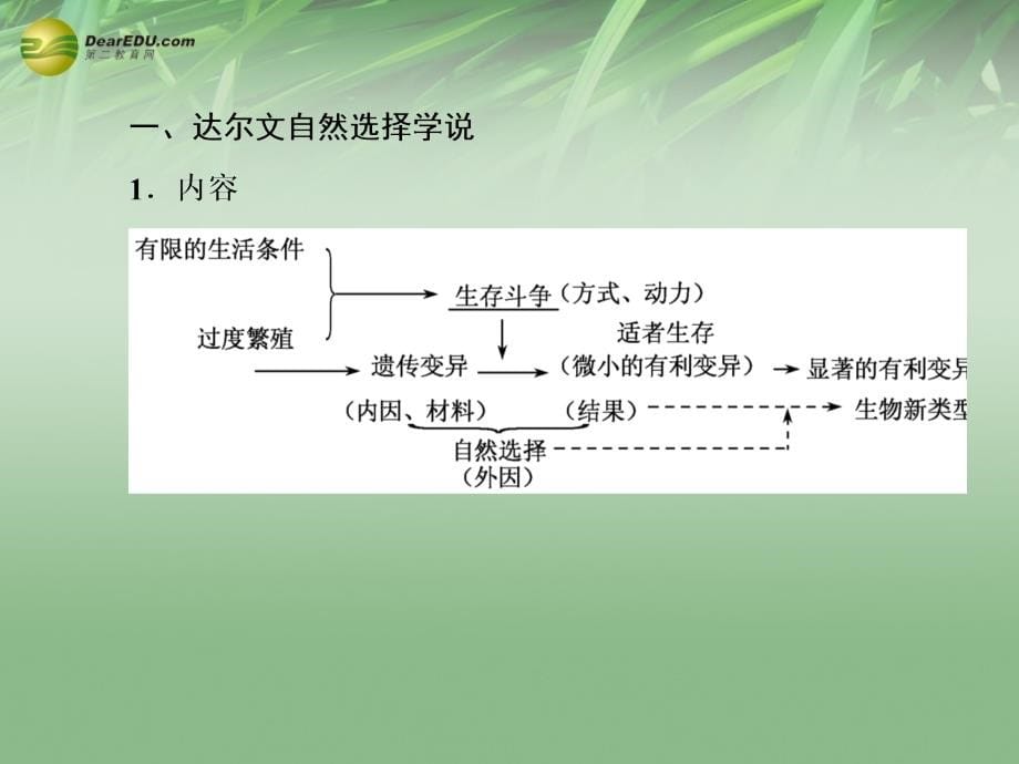 2018高考生物 4-4现代生物进化理论课件 新人教版必修2_第5页