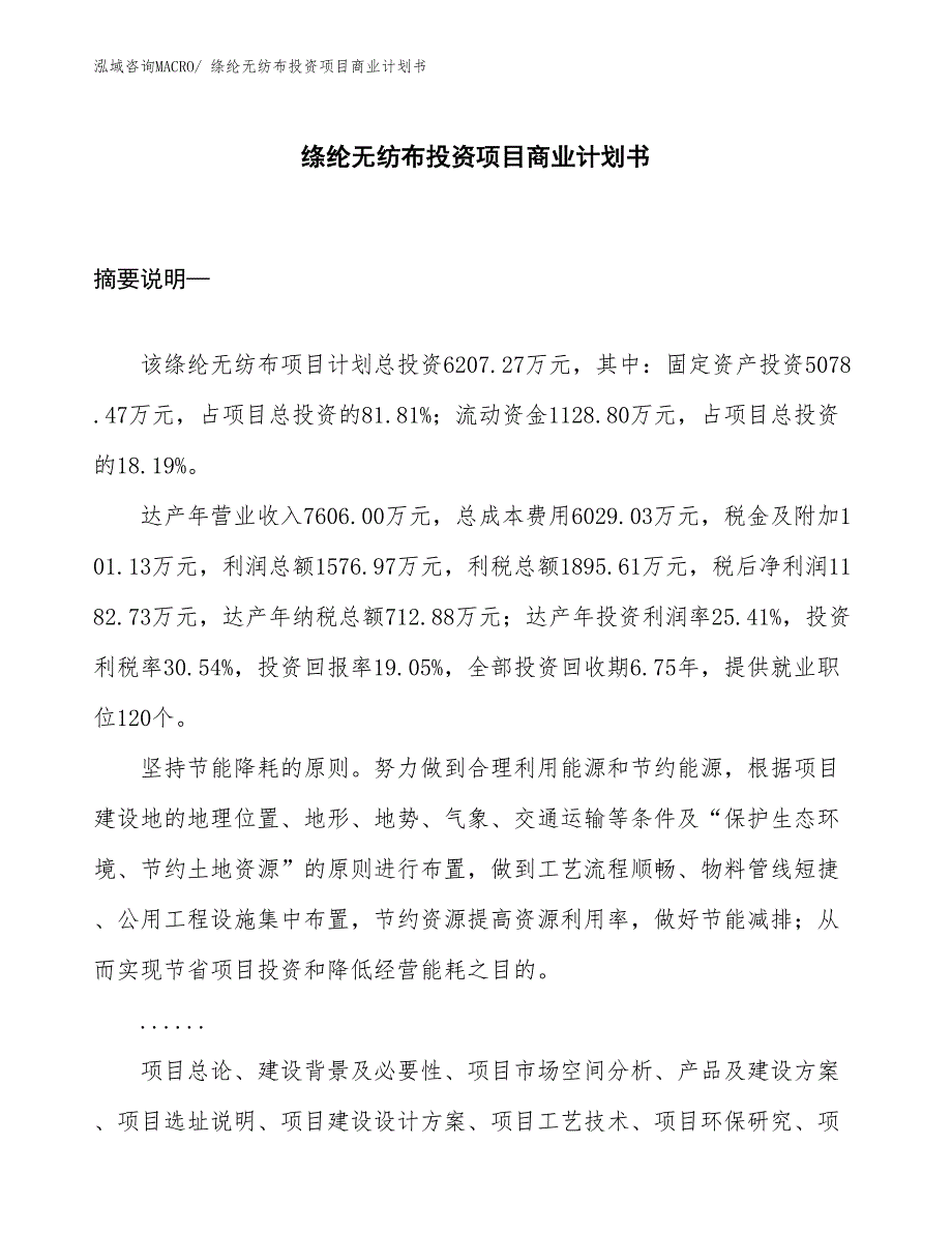 （汇报资料）绦纶无纺布投资项目商业计划书_第1页