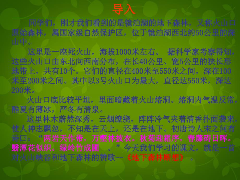 湖北省麻城市集美学校九年级语文下册 11 地下森林断想课件 新人教版_第2页