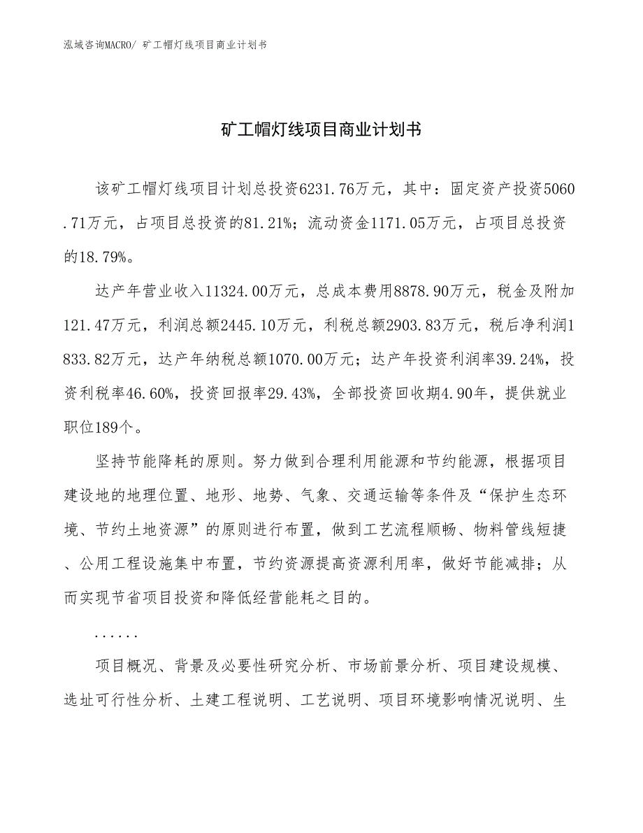 （创业）矿工帽灯线项目商业计划书_第1页