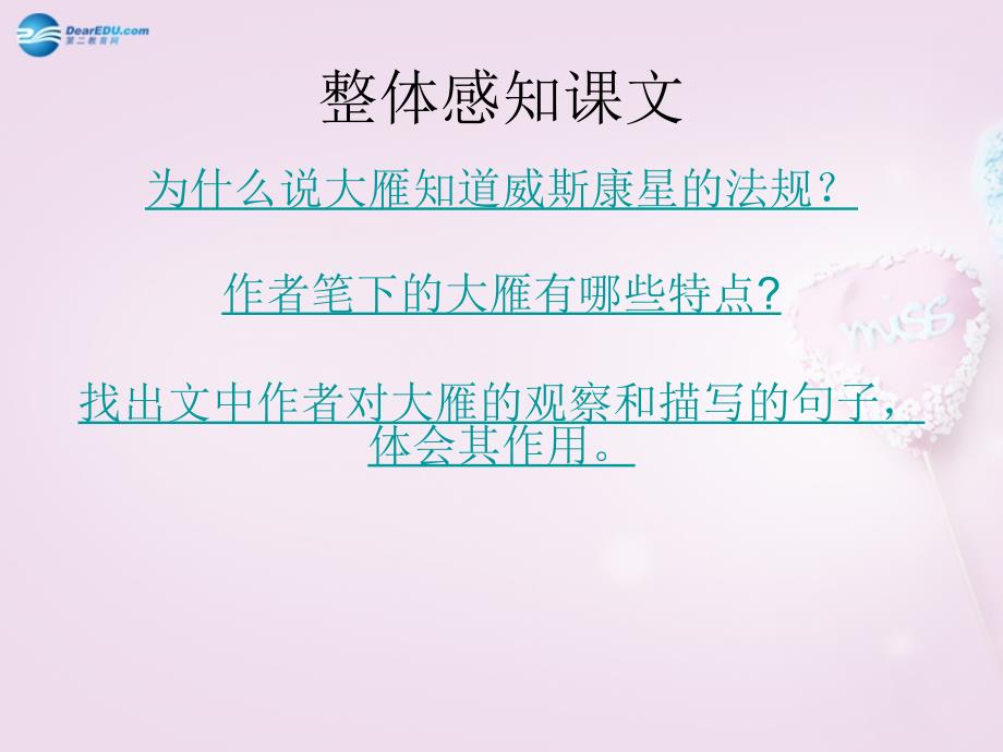 山东省泰安市新城实验中学2018春八年级语文下册 14《大雁归来》课件2 新人教版_第2页