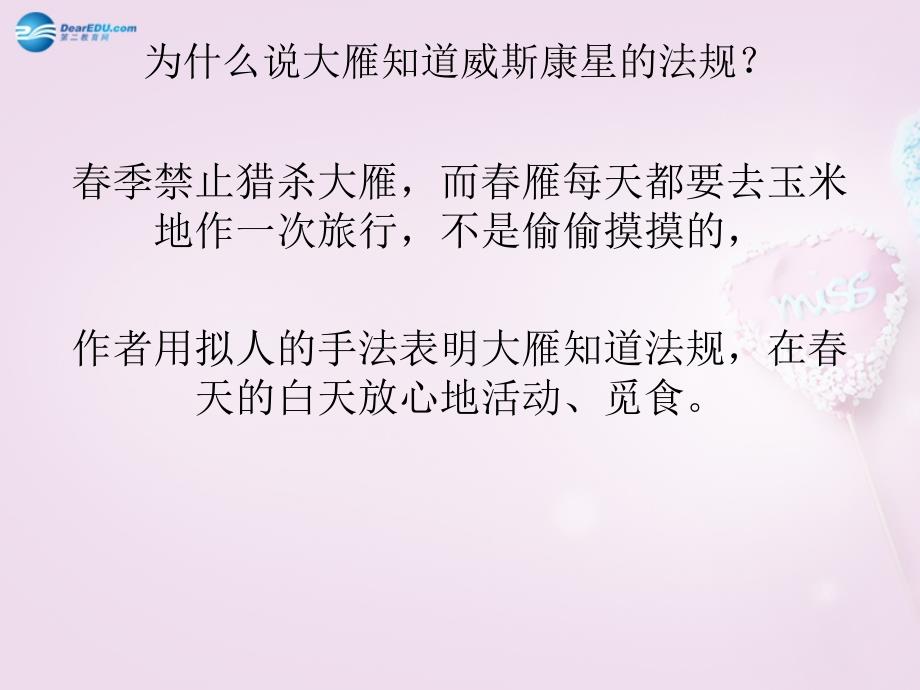 山东省泰安市新城实验中学2018春八年级语文下册 14《大雁归来》课件2 新人教版_第3页