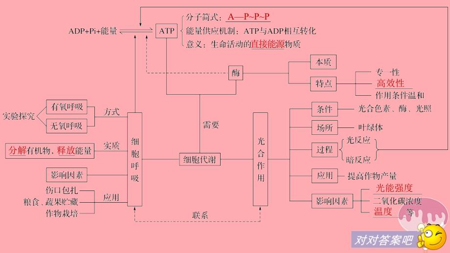 2018-2019学年高中生物第5章细胞的能量供应和利用章末整合提升课件新人教版必修_第4页