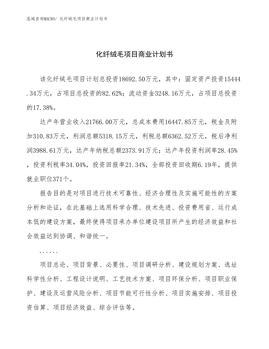 （创业）化纤绒毛项目商业计划书_第1页