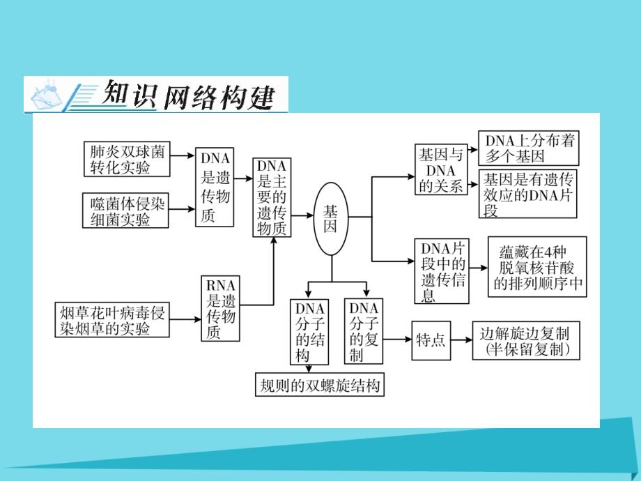 2018年高考生物一轮总复习 第3章 基因的本质章末知识提升课件（必修2）_第2页