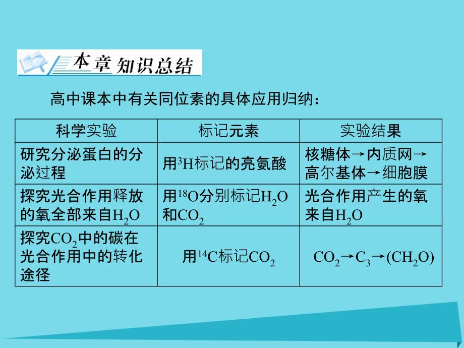 2018年高考生物一轮总复习 第3章 基因的本质章末知识提升课件（必修2）_第3页