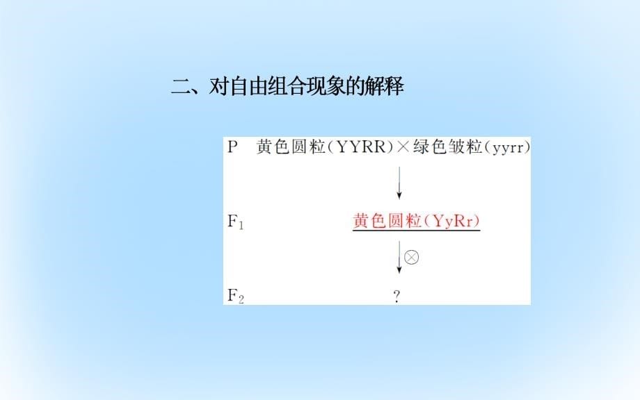 2018-2019学年高中生物 第1章 遗传因子的发现 第2节 孟德尔的豌豆杂交实验（二）课件 新人教版必修2_第5页